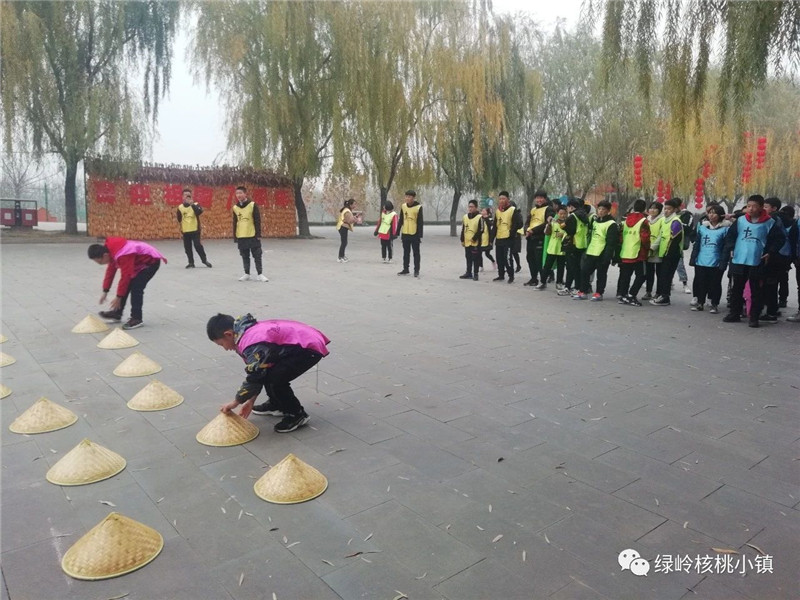 今年11月份绿岭核桃小镇迎来主题教育又一高峰期